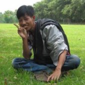 viethome