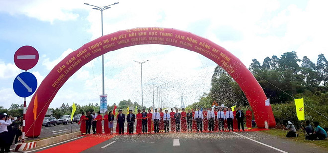 Cau-Vam-Cong-la-cay-cau-day-vang-thu-2-bat-qua-song-hau-01