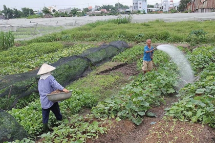 Chuyển đổi 26.000 ha đất nông nghiệp: Dân sẽ được lợi!