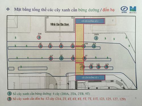 tp-hcm-chat-12-cay-xanh-phuc-vu-thi-cong-nha-ga-ba-son-metro-so-1-1