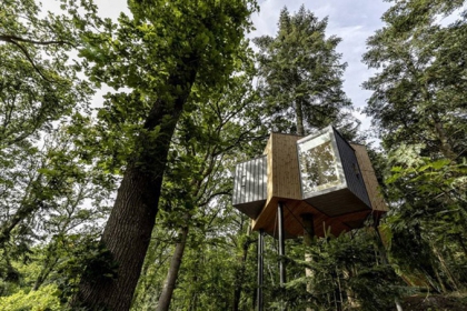 Ngôi nhà trên cây xinh xắn trong khu rừng Đan Mạch