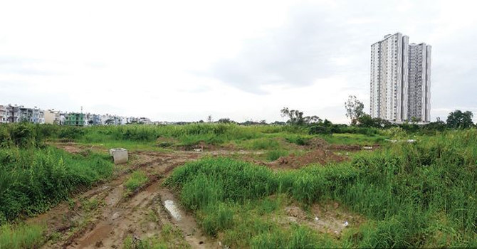 quoc-cuong-gia-lai-01