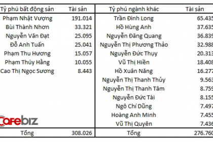 Đại gia Đường bia giải thích vì sao ở Việt Nam nhiều người giàu lên từ làm bất động sản
