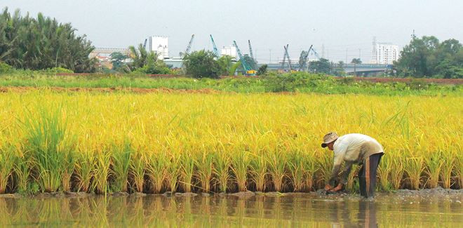 Du-an-Binh-Quoi-Thanh-Da-duong-tro-lai-con-xa-02