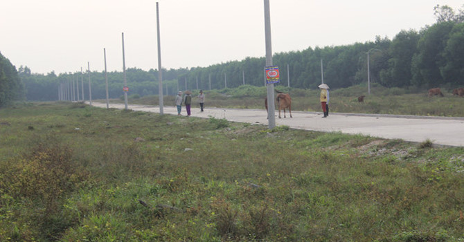 Kien-nghi-cong-an-dieu-tra-cong-ty-Alibaba