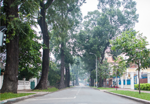 nhung-phien-ban-gioi-han-cho-gioi-thuong-luu_2