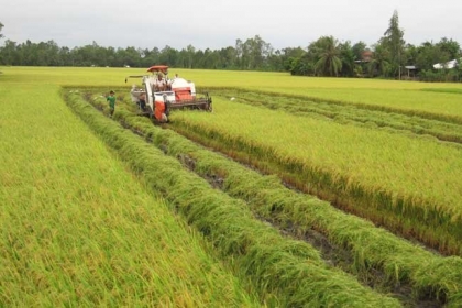 Bổ sung đối tượng được miễn thuế sử dụng đất nông nghiệp