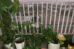 Chính chủ bán gấp – căn hộ 2pn ban công đông nam – Chung Cư Thanh Hà