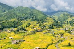 BÁN MẢNH ĐẤT VIEW THUNG LŨNG MƯỜNG HOA