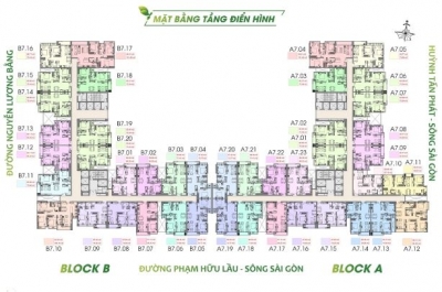 GreenStar 19