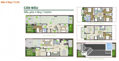 GreenStar 26